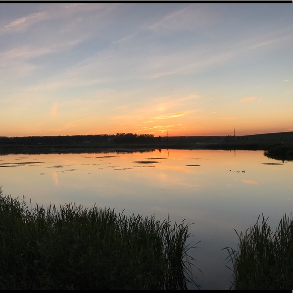 Belarus 🇧🇾 (Your purchase makes a difference) - Picture 7 of 8